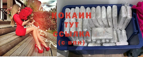 стафф Армянск
