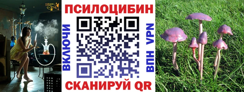 что такое наркотик  Советская Гавань  KRAKEN ONION  Псилоцибиновые грибы Psilocybe 